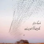 دانلود آهنگ نه نگو نه دیگه به من از سهیل رحمانی