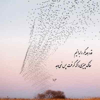 دانلود آهنگ  نه نگو نه دیگه به من از سهیل رحمانی
