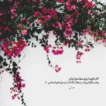 دانلود آهنگ نه نکنی باور