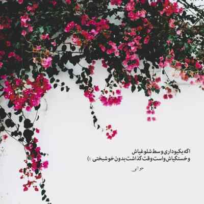 دانلود آهنگ  نه نکنی باور