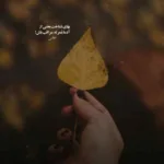 دانلود آهنگ اونی که روز و شب کنارم بود از سامی بیگی سارن آرتا کوروش