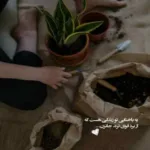 دانلود آهنگ پایم باش معین زد