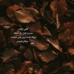 دانلود آهنگ Messy از رزی (بلک پینک) ROSE