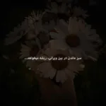 دانلود ریمیکس رپ ترکیبی هر جا که باشی امو باند و هیچکس و پوتک و شایع و صفت و خلوت و یاس از دیجی امیر یل