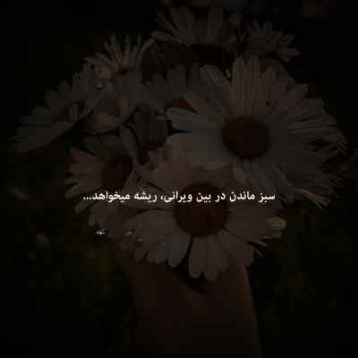 دانلود آهنگ  رپ ترکیبی هر جا که باشی امو باند و هیچکس و پوتک و شایع و صفت و خلوت و یاس از دیجی امیر یل