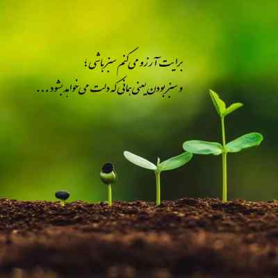 دانلود آهنگ  رفت ندید که پشتش افتاده بودم علی احمدیانی