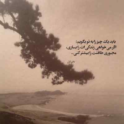 دانلود آهنگ  رفتی به سفر یار مو آروم ندارم محسن دولت