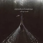 دانلود آهنگ رفتی لا به لای ترکای دلم از علیرضا آریانفر