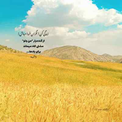 دانلود آهنگ  سلام عشقم من میخوام با تو بمونم علی میری