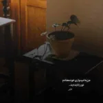 دانلود آهنگ سامان پرفکت بده بزنیم پشه مهمونی
