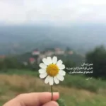 دانلود آهنگ شادمهر عقیلی Ye Roz Cheshato Va koni
