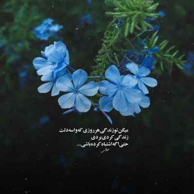 دانلود آهنگ  هوش مصنوعی جادو با صدای هایده شادمهر و‌ محسن یگانه