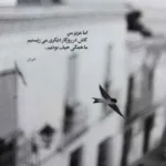 دانلود آهنگ شهرام صولتی پشت سر مسافر گریه شگون نداره