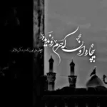 دانلود مداحی شاخه شاخه شکسته ام مهرداد ملکی