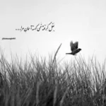 دانلود ریمیکس شیرین بتمنی انساک ترند اینستا