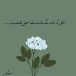 دانلود آهنگ شیرین جان با صدای زن