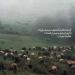 دانلود آهنگ خارجی شیبابا بالو بیلا با صدای زن