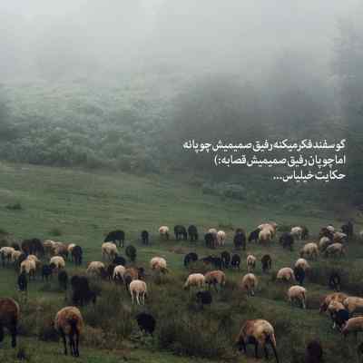 دانلود آهنگ  خارجی شیبابا بالو بیلا با صدای زن
