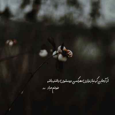 دانلود آهنگ  دوباره لش کاناپه و قفلی رو طرحای فرش از تتلو و شایع