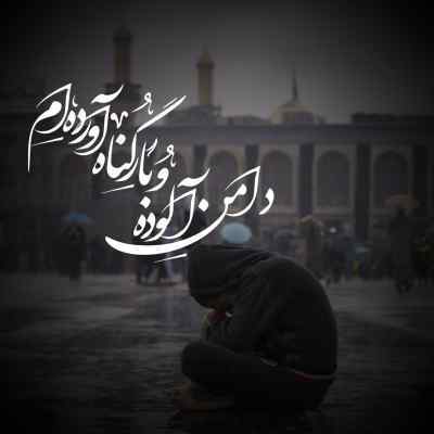 دانلود آهنگ  تو باب حاجاتی حسین از رضا نریمانی