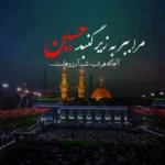 دانلود مداحی تو شهریاری فاطمه تباری از حمید علیمی