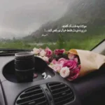 دانلود آهنگ تورو دیدم خدا خندید شاهرخ