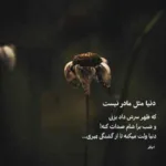 دانلود آهنگ یه شب شد هزار شب معین