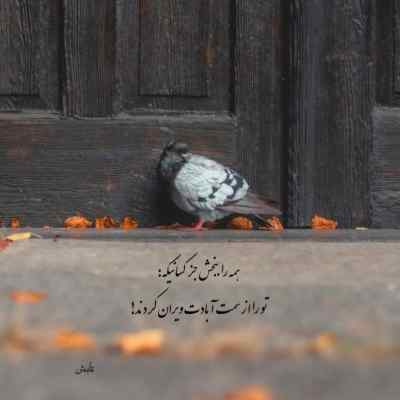 دانلود آهنگ  زخم کاری بهنام بانی