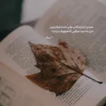 دانلود آهنگ زانکو مثلا