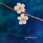 دانلود آهنگ زندگی این همه از خاطره گریه نگو علی زند وکیلی