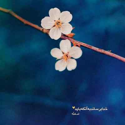 دانلود آهنگ  زندگی این همه از خاطره گریه نگو علی زند وکیلی