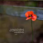 دانلود آهنگ با چی اروم کنم دل پرمو با صدای د دان