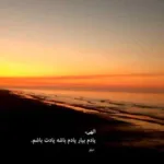 دانلود آهنگ نه من تورو واسه خودم نه از سر هوس میخوام