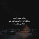 دانلود آهنگ نسینی الدنیا با صدای زن