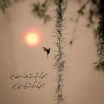 دانلود آهنگ پیر اگر باشم چه غم از شهریار
