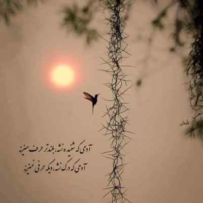 دانلود آهنگ  پیر اگر باشم چه غم از شهریار