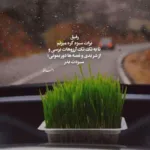 دانلود آهنگ سرگرمی تو شده بازی با این دل غمگین و خستم محسن یگانه و محسن چاوشی