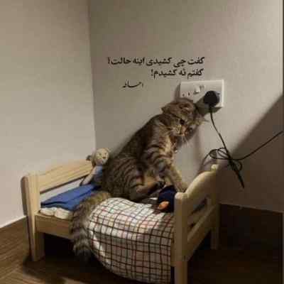 دانلود آهنگ  تو اگه با من قهری حسن شماعی زاده