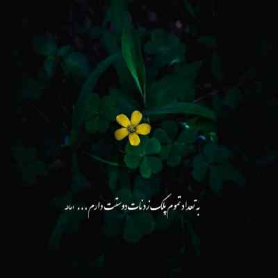 دانلود آهنگ  دارم میگردم هی دنبال چشمات با صدای ابوالفضل رحیمی