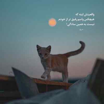 دانلود آهنگ  افسوس که این مزرعه را آب گرفته