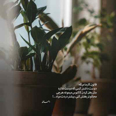 دانلود آهنگ  اگه منو میخوای فقط راست بگو