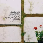 دانلود آهنگ علیرضا طلیسچی یه دریا نریم