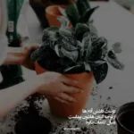 دانلود آهنگ صبح روزای شنبه آفتاب یجور دیگس از عارف