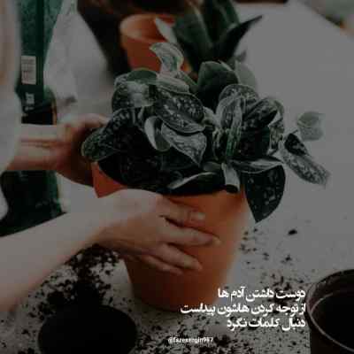 دانلود آهنگ  صبح روزای شنبه آفتاب یجور دیگس از عارف