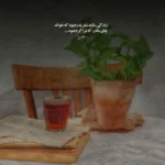 دانلود آهنگ ببر مرا به عالمت به عالم جنون خود