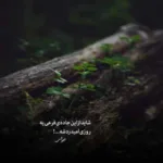 دانلود آهنگ داغ عشق تو سیگاریم کرد نفس از مسعود جلیلیان دانلود آهنگ داغ عشق تو سیگاریم کرد نفس از مسعود جلیلیان