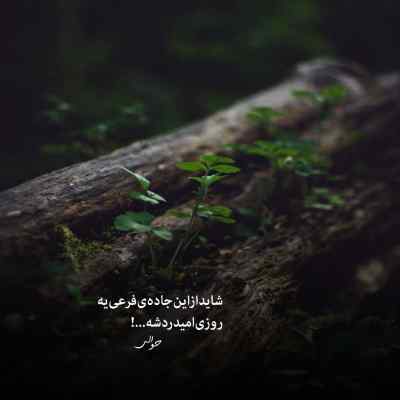دانلود آهنگ  داغ عشق تو سیگاریم کرد نفس از مسعود جلیلیان