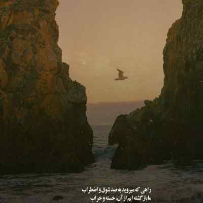 دانلود آهنگ دلم از تهرانم تنگ تره برات دانلود آهنگ دلم از تهرانم تنگ تره برات