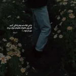 دانلود آهنگ دلبر که جان فرسود از او