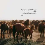 دانلود آهنگ قبری برای خودت بخر کنار اون خوشگل پسر